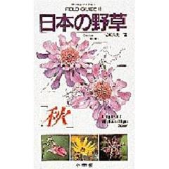 日本の野草　秋