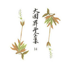 大岡昇平全集　１４