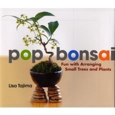 Ｐｏｐ　ｂｏｎｓａｉ　Ｆｕｎ　ｗｉｔｈ　ａｒｒａｎｇｉｎｇ　ｓｍａｌｌ　ｔｒｅｅｓ　ａｎｄ　ｐｌａｎｔｓ　英文版