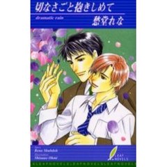 切なさごと抱きしめて　Ｄｒａｍａｔｉｃ　ｒａｉｎ