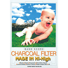 ＣＨＡＲＣＯＡＬ　ＦＩＬＴＥＲ　ＭＡＤＥ