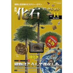 月刊化石コレクション　地球と古生物のミステリー・ロマン　Ｎｏ．１１　珪化木