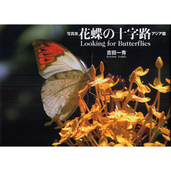 花蝶の十字路　Ｌｏｏｋｉｎｇ　ｆｏｒ　Ｂｕｔｔｅｒｆｌｉｅｓ　アジア篇　写真集