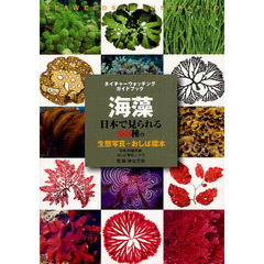 海藻 (ネイチャーウォッチングガイドブック)