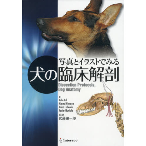 HOT好評「写真とイラストでみる犬の臨床解剖」 語学・辞書・学習参考書