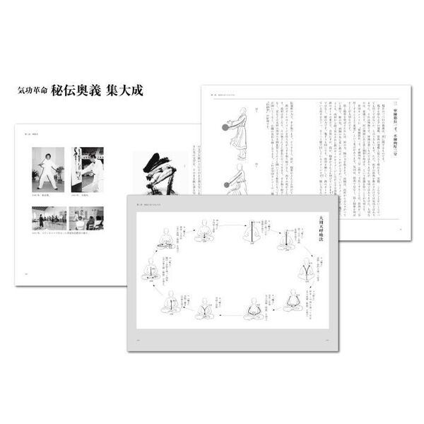 日本公式の通販 気功革命 秘伝奥義 集大成（成鶴伸・著） 書籍+DVD - 本