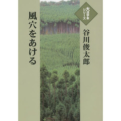 風穴をあける