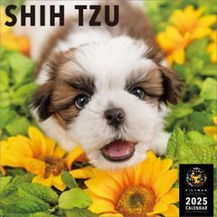 シー・ズー 2025年カレンダー