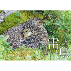 雷鳥神の鳥の四季ＣＡＬＥＮＤＡＲ２０２６