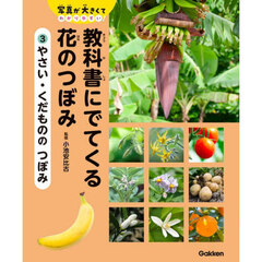 教科書にでてくる花のつぼみ　写真が大きくてわかりやすい！　３　やさい・くだもののつぼみ