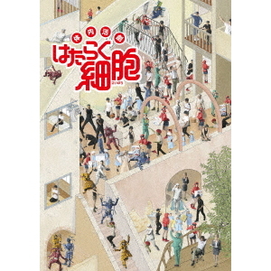 体内活劇 「はたらく細胞」 ＜完全生産限定版＞（DVD） 通販