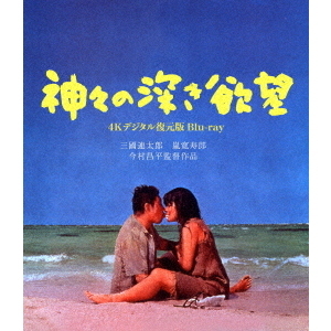 ֥ͥåȥåԥ󥰤㤨ֿο˾4Kǥǡʣ£?ģˡפβǤʤ3,788ߤˤʤޤ