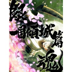 銀魂オンシアター2D 一国傾城篇 ＜完全生産限定版＞（ＤＶＤ）