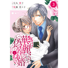 comic Berry’s 華麗なる偽装結婚3巻