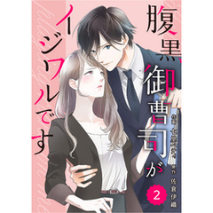 comic Berry’s腹黒御曹司がイジワルです2巻