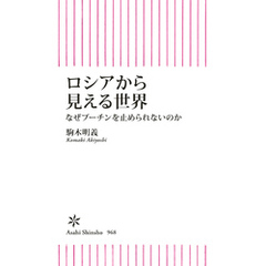 ロシアから見える世界　なぜプーチンを止められないのか