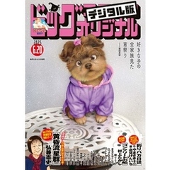 ビッグコミックオリジナル 2025年12号（2025年6月5日発売)
