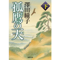 孤鷹の天　下〈新装版〉