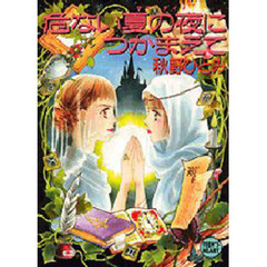 危ない夏の夜（サマーナイト）につかまえて