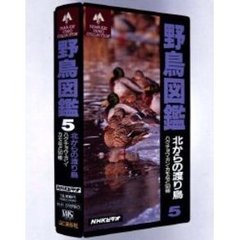 ビデオ　野鳥図鑑　　　５