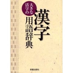大きな活字の漢字用語辞典