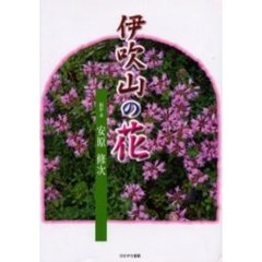 伊吹山の花