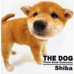 ＴＨＥ　ＤＯＧ　Ｐｈｏｔｏ　Ｂｏｏｋ　Ｃｏｌｌｅｃｔｉｏｎ　Ｓｈｉｂａ