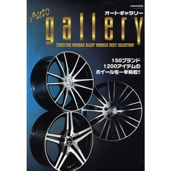 オートギャラリー　ＴＨＥ　ＭＡＮＩＡＣ　ＡＬＬＯＹ　ＷＨＥＥＬＳ　ＢＥＳＴ　ＳＥＬＥＣＴＩＯＮ　２００９　１５０ブランド１２００アイテムのホイールを一挙掲載！！