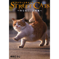 STREET CATS -のらねこ。写真集-