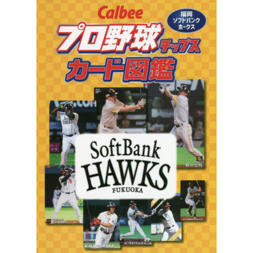 プロ野球 プロ野球チップスカード カード ベースボールマガジン