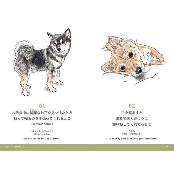 柴犬が好き 柴犬 赤 】可愛い柴ちゃんの魅力ポイント3つとトレーニング法を