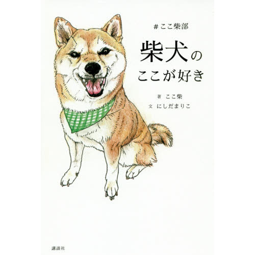 柴犬が好き Home - 柴犬が好きすぎる