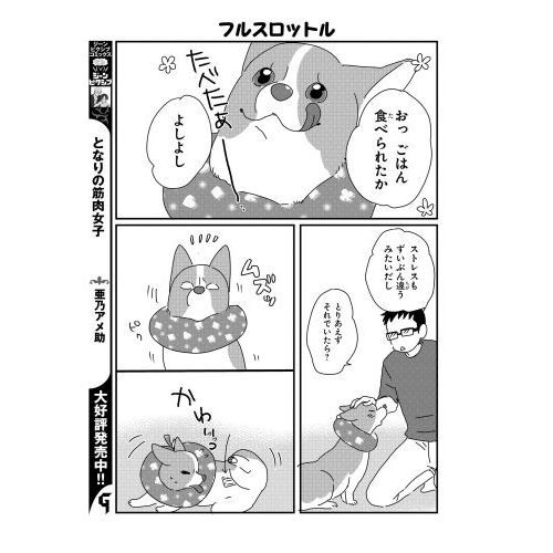 あしょんでよッ うちの犬ログ ９ 通販 セブンネットショッピング