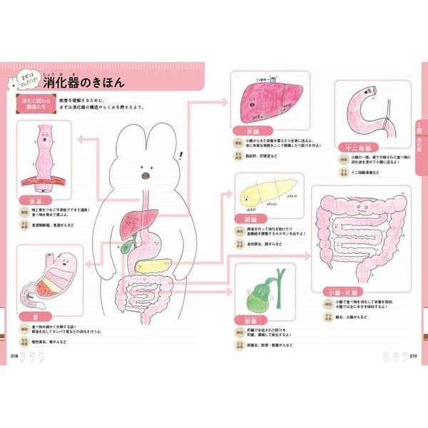 じにのみるだけ疾患まとめイラスト 通販｜セブンネットショッピング