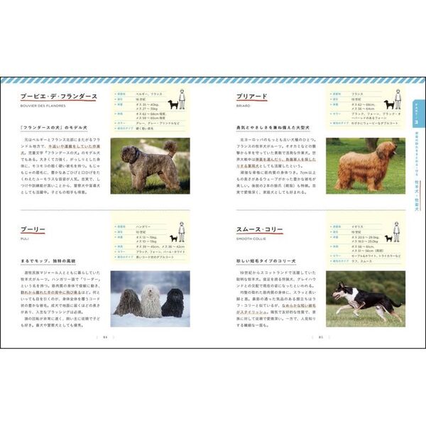 ルーツと特性を知ればもっと好きになる 日本と世界の犬種図鑑