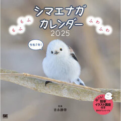 ’２５　シマエナガカレンダー