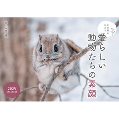 ’２５　愛らしい動物たちの素顔カレンダー