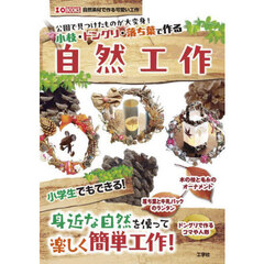 公園で見つけたものが大変身！小枝・ドングリ・落ち葉で作る自然工作