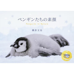 ペンギンたちの素顔カレンダー２０２６