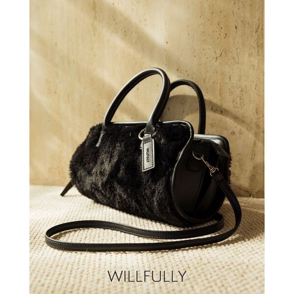 WILLFULLY 10th Anniversary Special Bag Book (宝島社ブランドムック