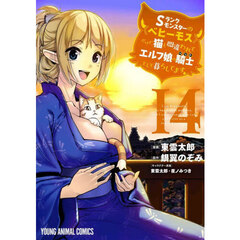 Ｓランクモンスターの《ベヒーモス》だけど、猫と間違われてエルフ娘の騎士として暮らしてます　１４