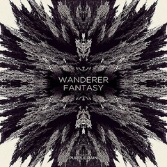 PURPLE RAIN／1ST ALBUM : WANDERER FANTASY（輸入盤）