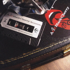 Acid Black Cherry／Recreation 1（CD） - 通販｜セブンネットショッピング