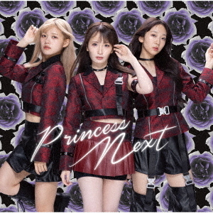 ֥ͥåȥåԥ󥰤㤨PrincessNextPrincessNextʽסCDDVDפβǤʤ2,999ߤˤʤޤ