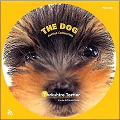 THE DOG ヨークシャー･テリア（ＤＶＤ）