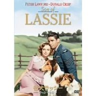 名犬ラッシー／ラッシーの息子（ＤＶＤ）