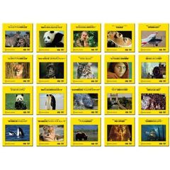 【PPV-DVD】 GOLD 「コンプリート」セット ～復刻 ナショナル ジオグラフィック 名作選～（ＤＶＤ）
