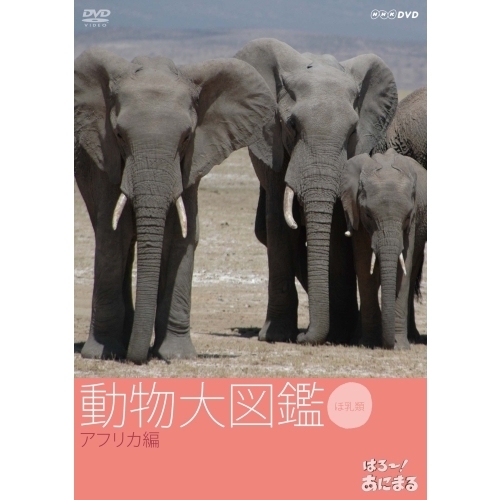 はろ～あにまる！動物大図鑑 1 アフリカ編（ＤＶＤ） 通販｜セブンネットショッピング