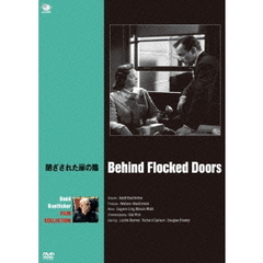 閉ざされた扉の陰（ＤＶＤ）