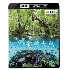 ビコム 4K Relaxes（リラクシーズ） 奄美大島 【4K・HDR】 ～いのち紡ぐ島～（Ｕｌｔｒａ　ＨＤ）